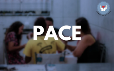 NDIS PACE System: What You Need to Know